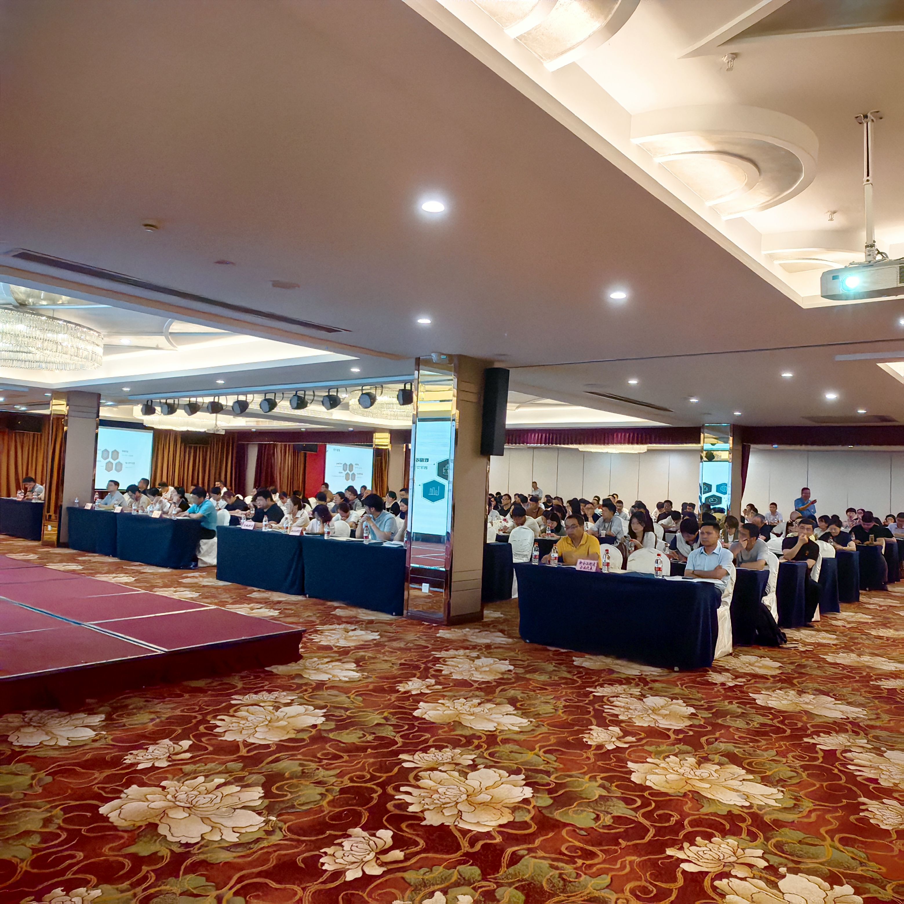 两新两重项目申报及节能降碳技术培训会议--建德市